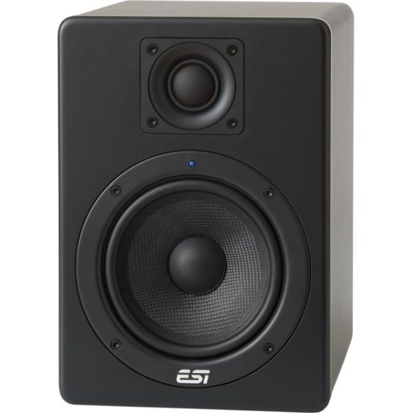 ESI Aktiv 05 Active Studio Monitor (single)