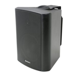 Adastra BC5V-B 100V Indoor Speaker
