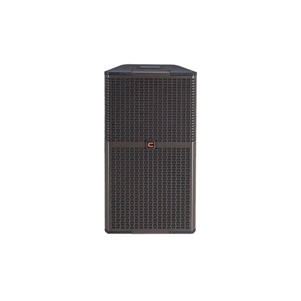 Celto Acoustique PM12 G2